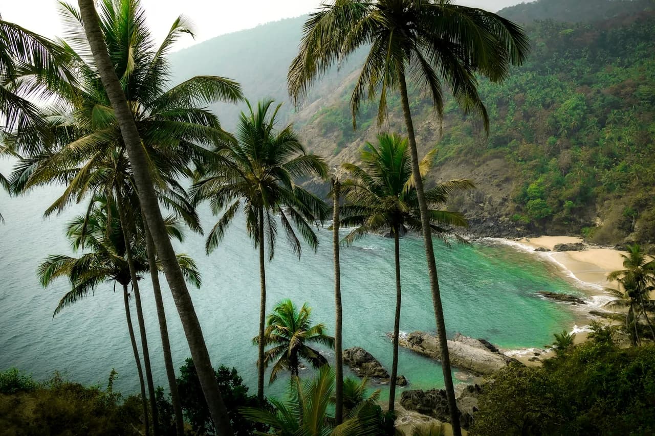 Tropical beach with palm trees, Goa